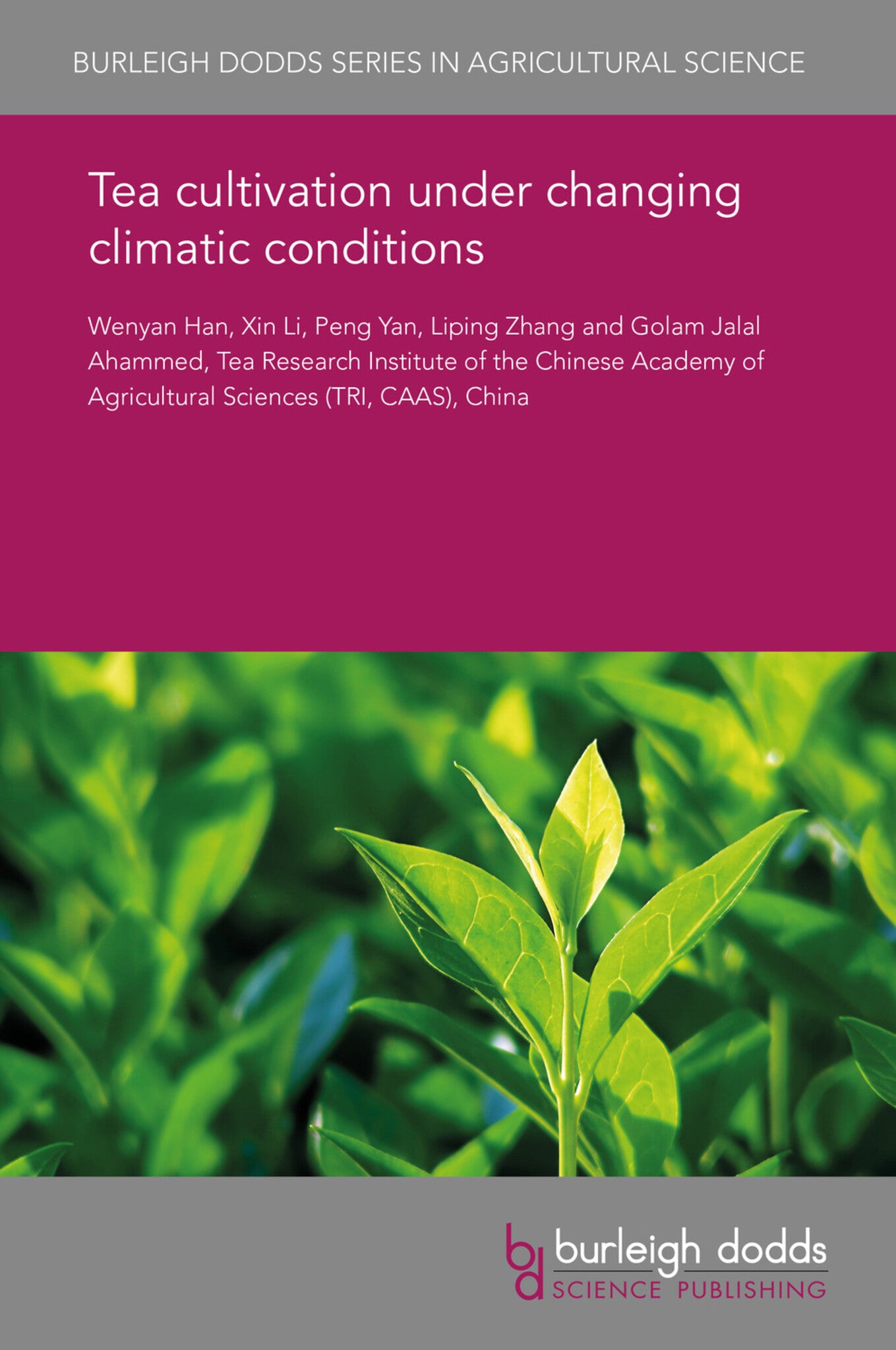 Cover image for Tea cultivation under changing climatic conditions ISBN 9781838796181